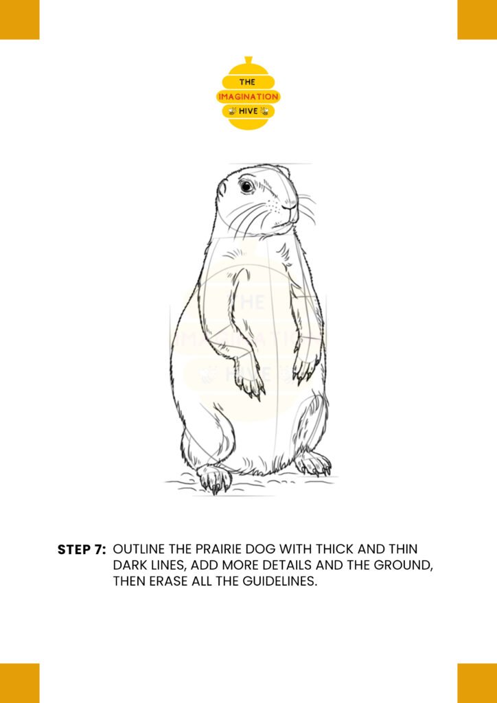 How to Draw a Prairie Dog Step 7