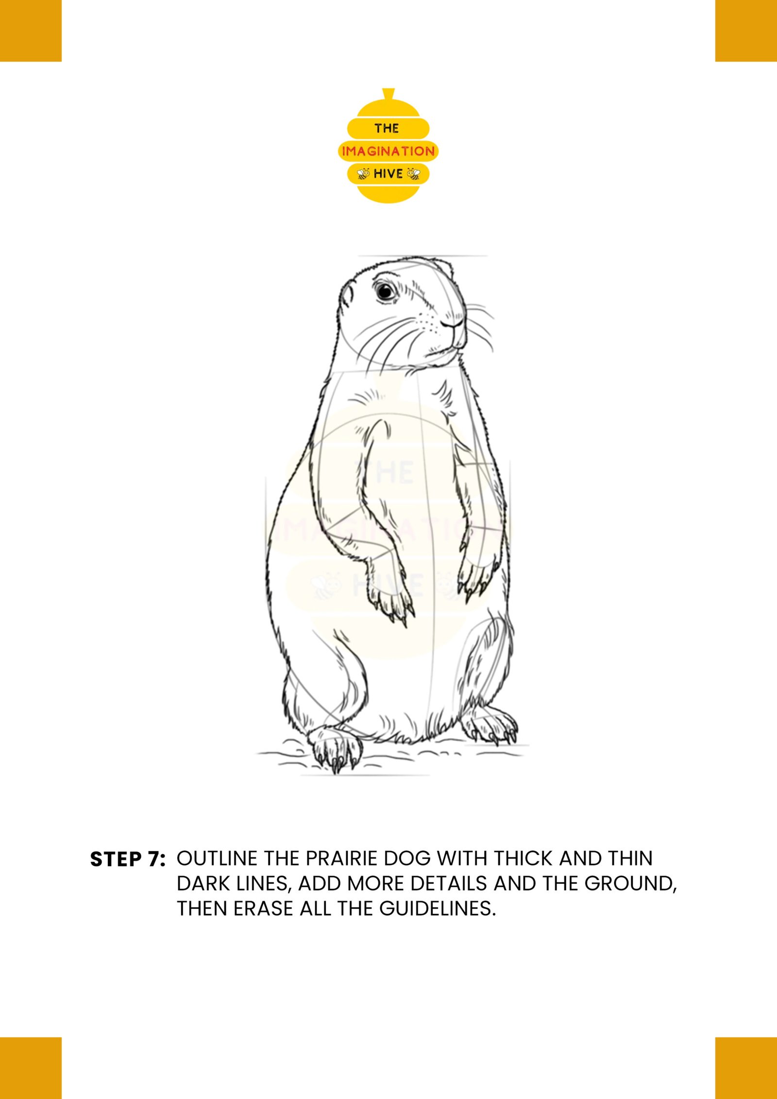 How to Draw a Prairie Dog Step 7