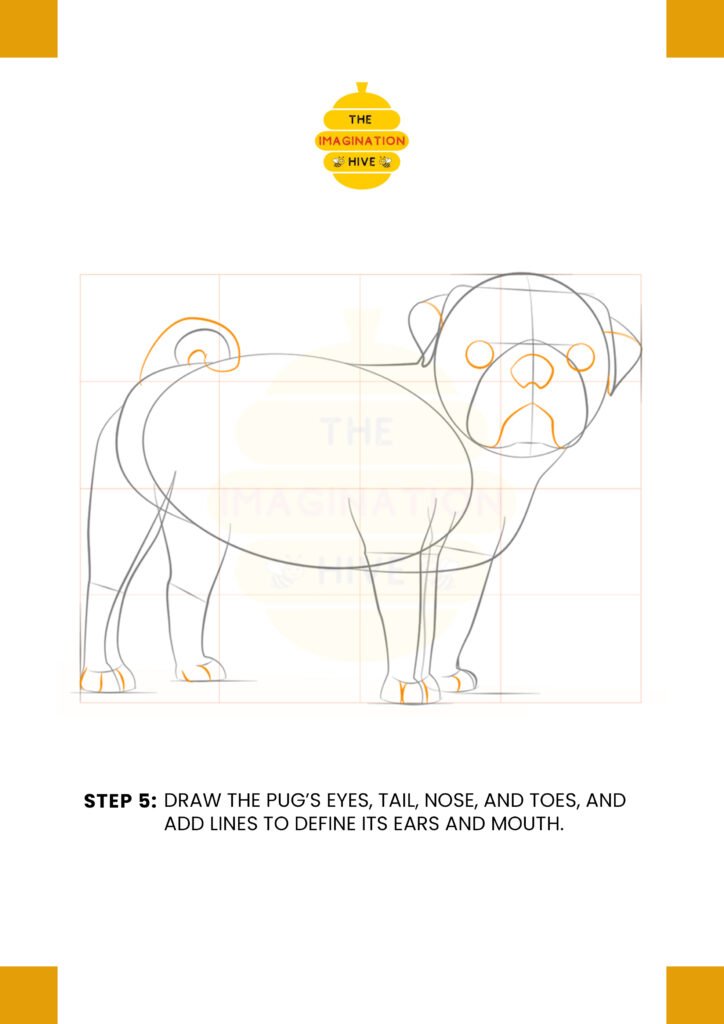 How to Draw a Pug Step 5