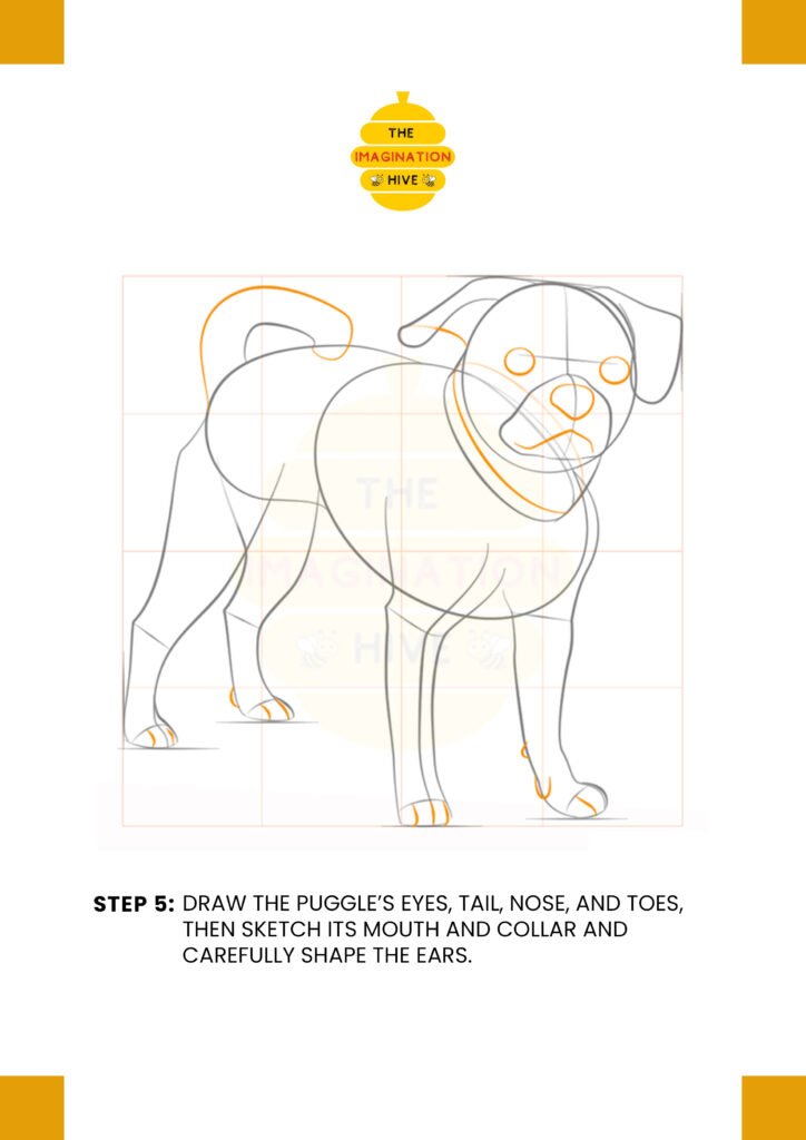 How to Draw a Puggle Step 5