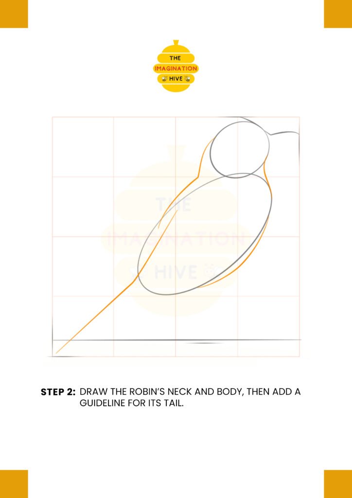 How to Draw a Robin Bird Step 2