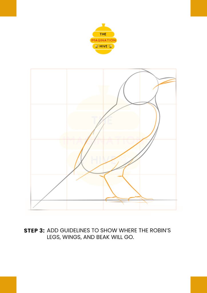 How to Draw a Robin Bird Step 3