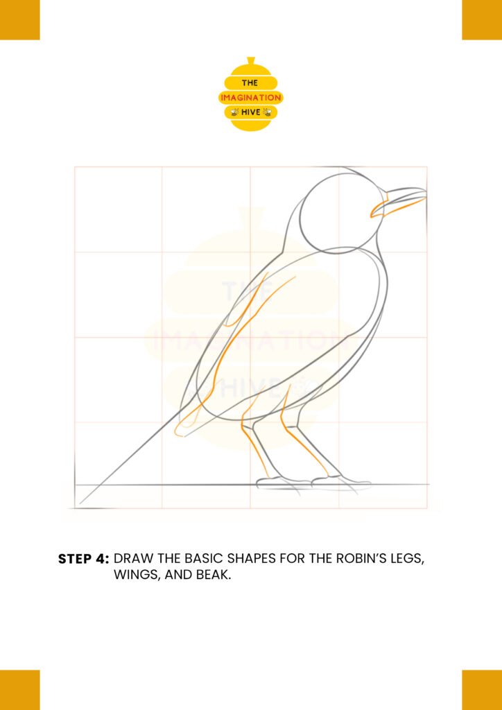 How to Draw a Robin Bird Step 4