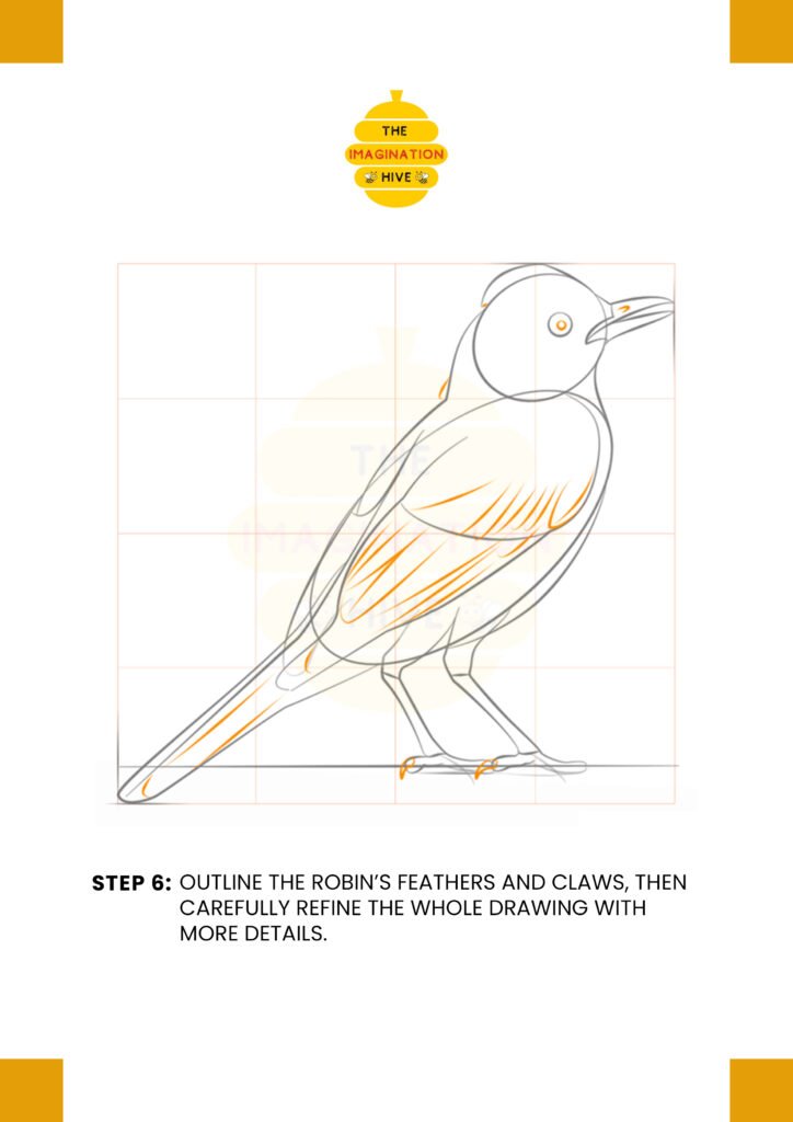 How to Draw a Robin Bird Step 6