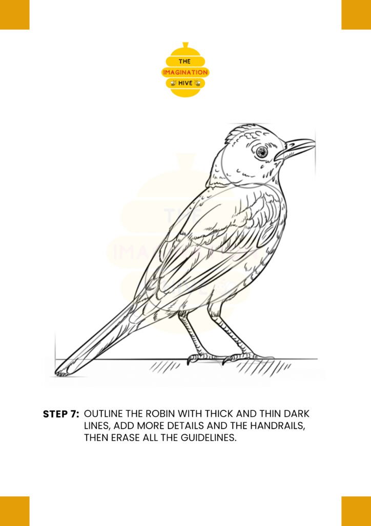 How to Draw a Robin Bird Step 7