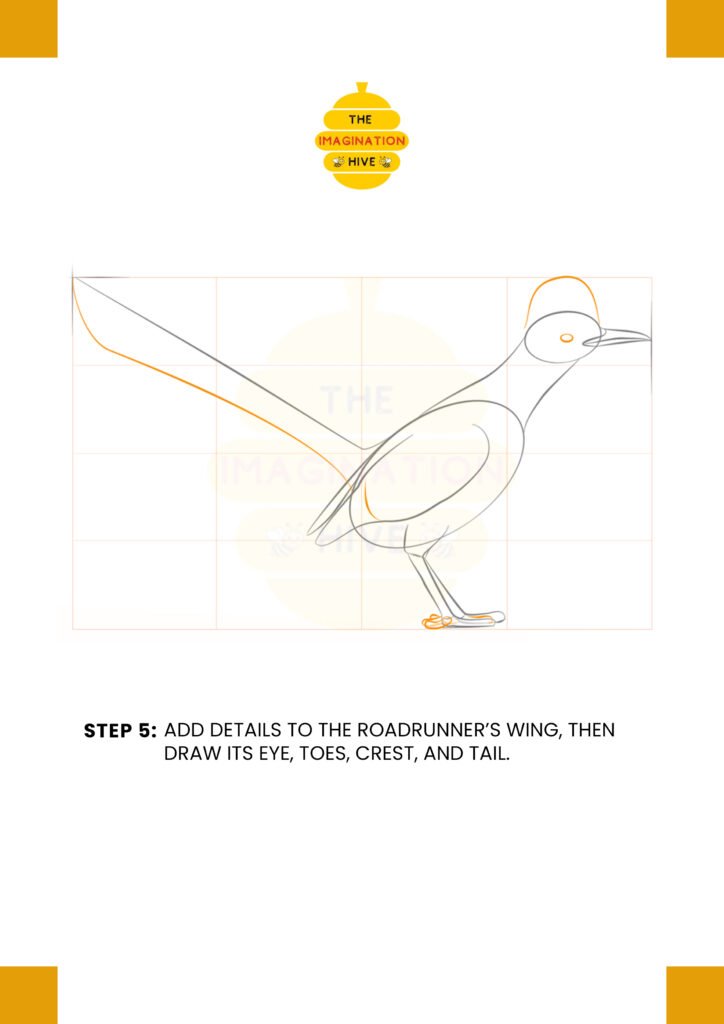 How to Draw a Roadrunner Step 5