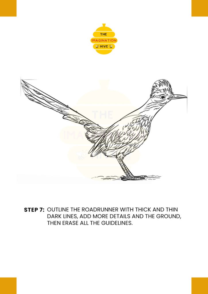How to Draw a Roadrunner Step 7