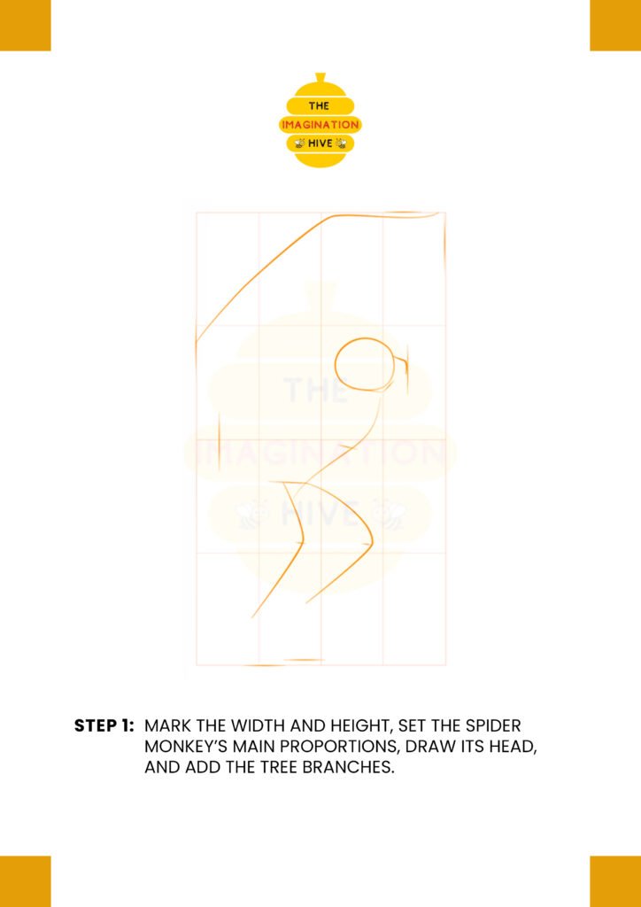 How to Draw a Spider Monkey Step 1