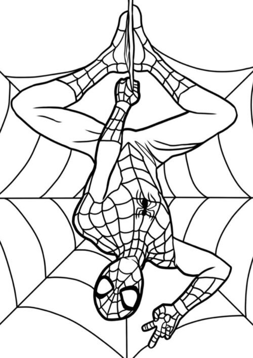 Spiderman hanging Upside Down Coloring Page For Kids – Free Activity PDF Download