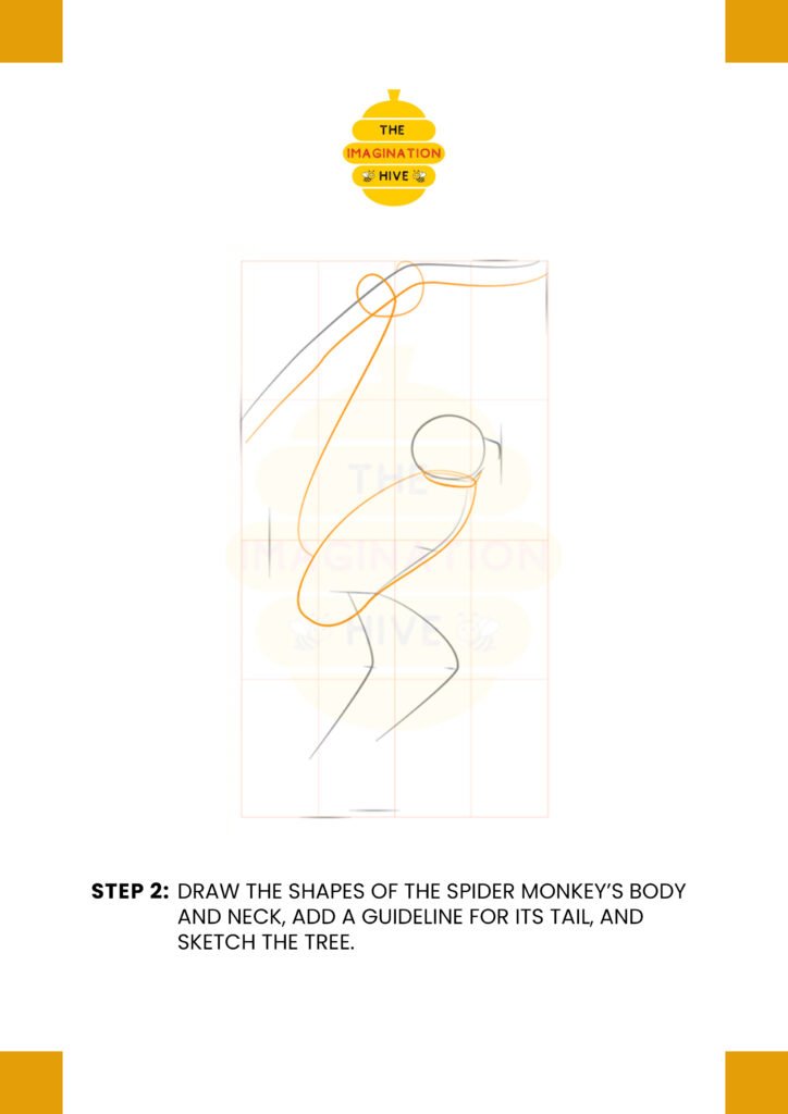 How to Draw a Spider Monkey Step 2
