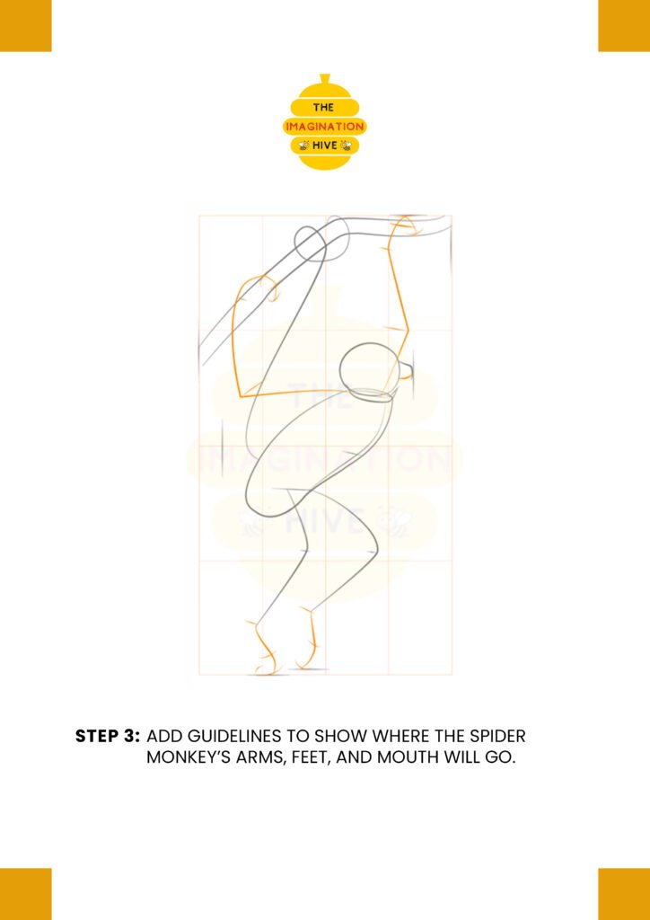 How to Draw a Spider Monkey Step 3