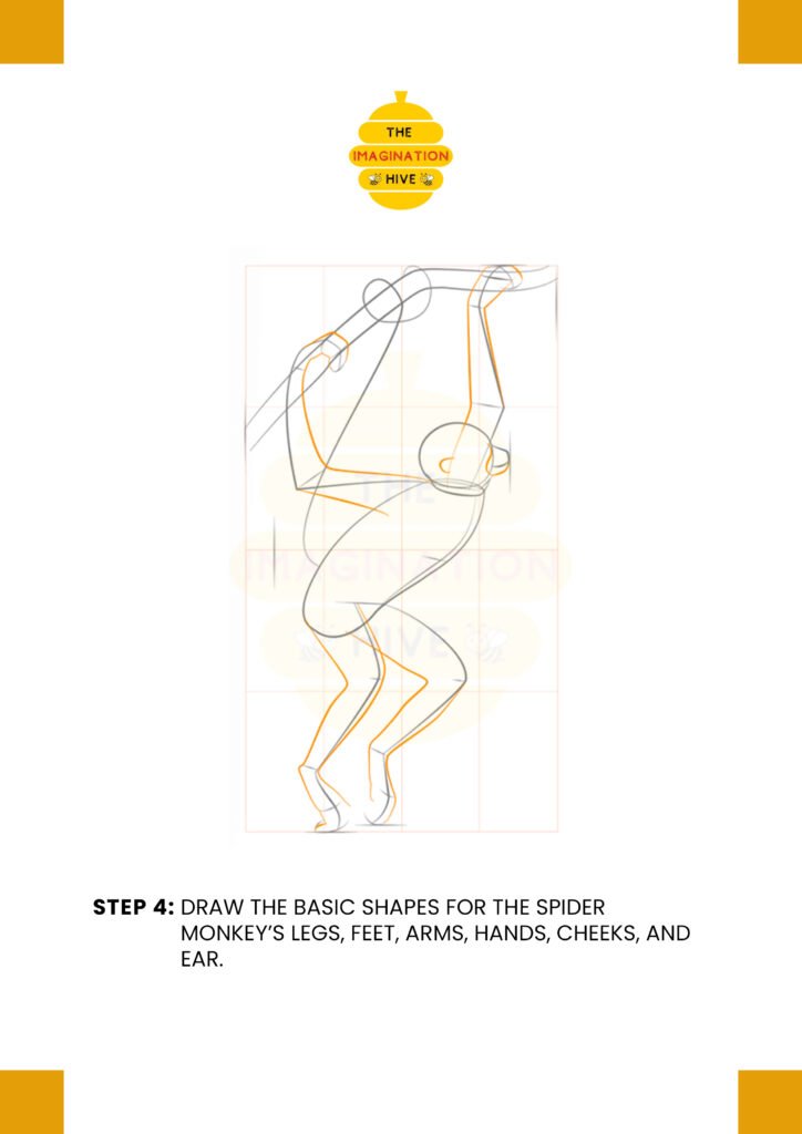 How to Draw a Spider Monkey Step 4