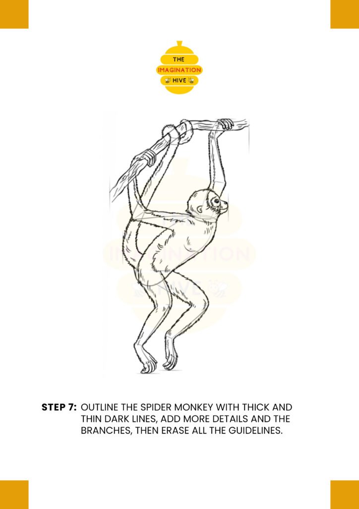How to Draw a Spider Monkey Step 7