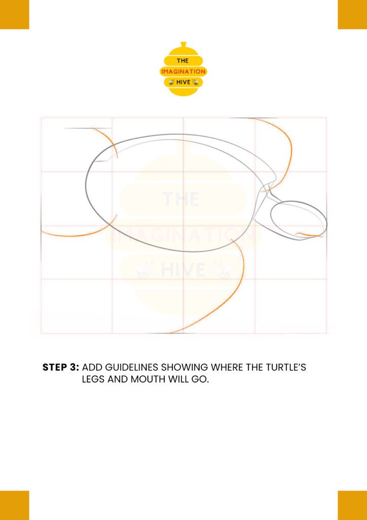 How to Draw Sea Turtle Step 3