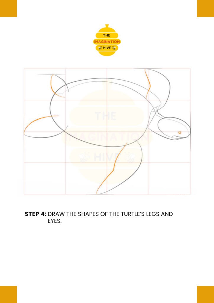How to Draw Sea Turtle Step 4