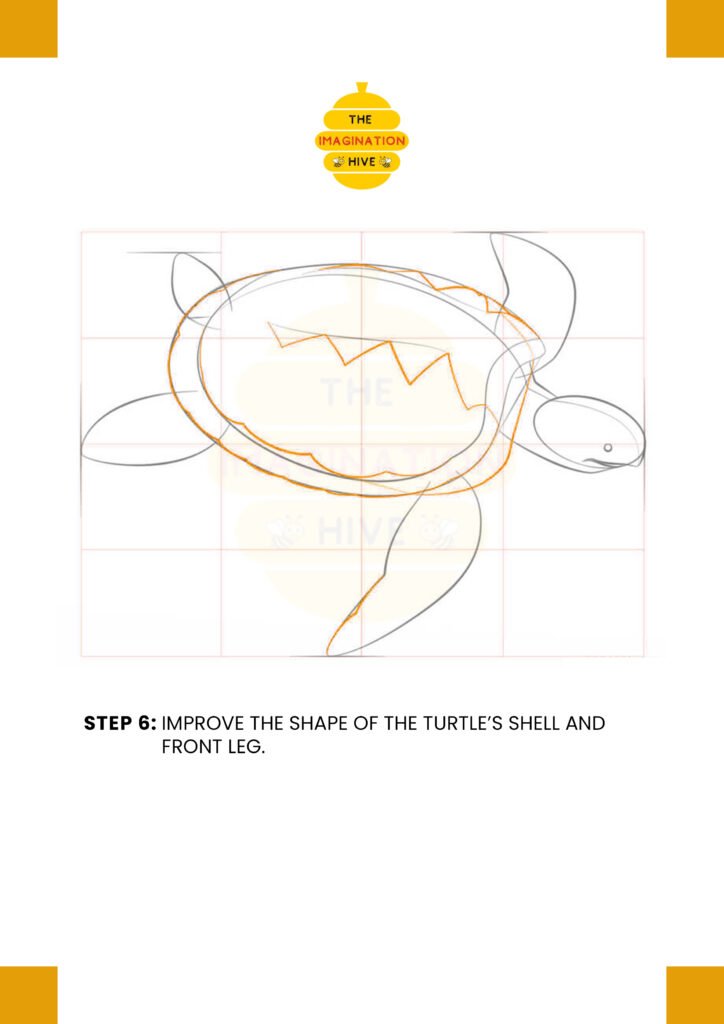 How to Draw Sea Turtle Step 6