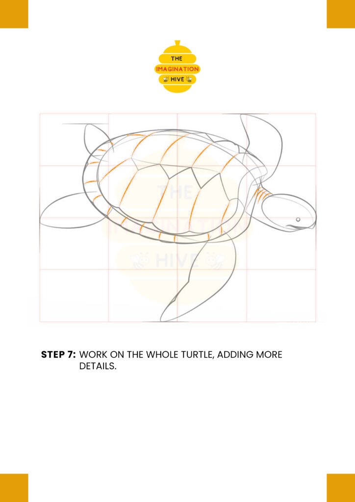 How to Draw Sea Turtle Step 7