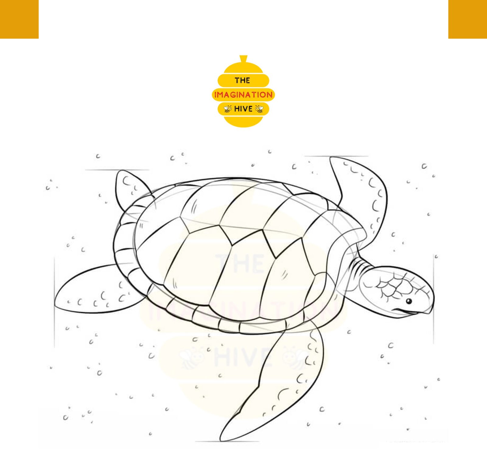 How to Draw Sea Turtle Step 8