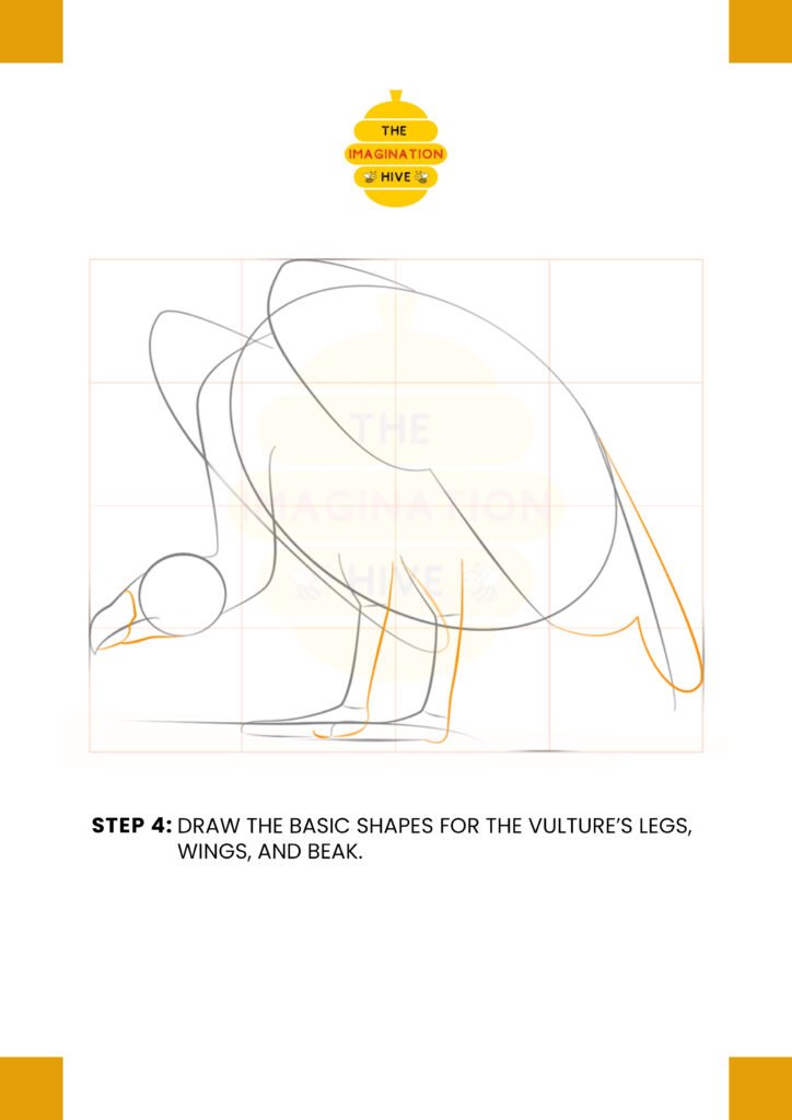 How to Draw a Vulture step 4