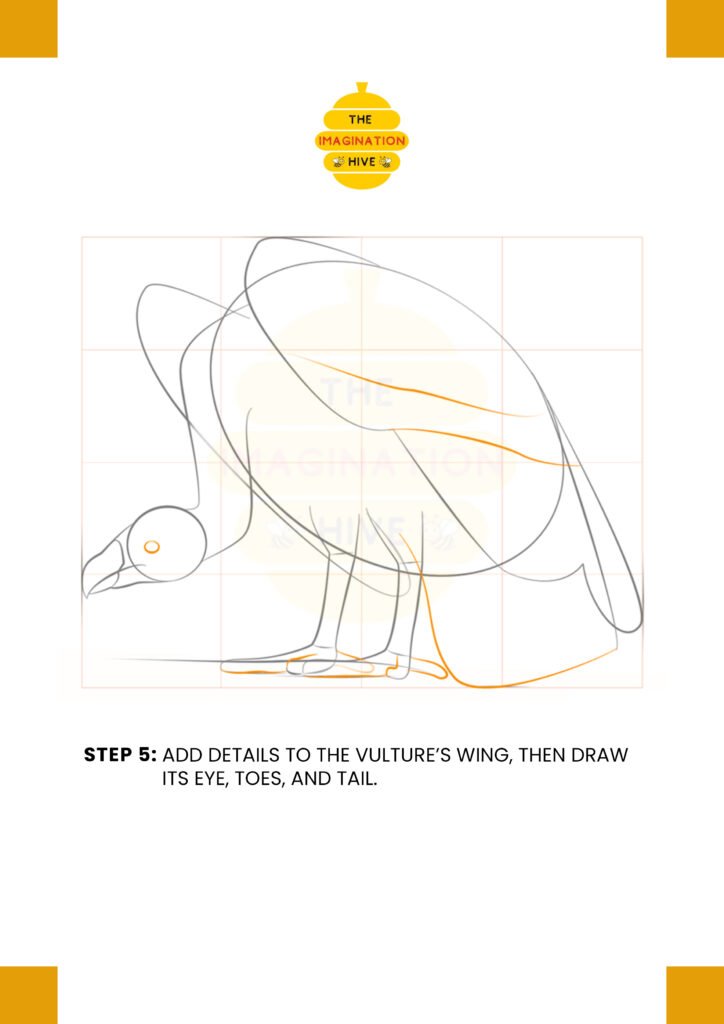 How to Draw a Vulture step 5