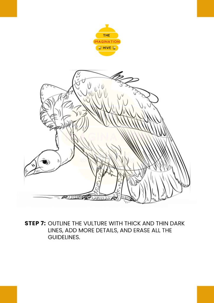 How to Draw a Vulture Step 7