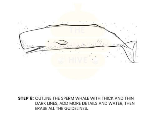 How to Draw a Sperm Whale – Step by Step