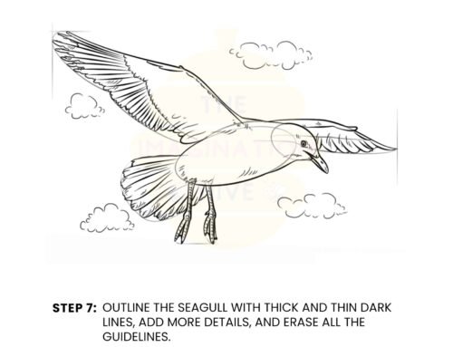 How to Draw a Seagull — Step by Step