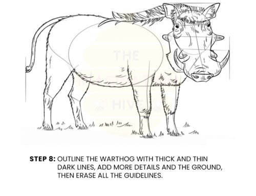How to Draw a Warthog – Step by Step