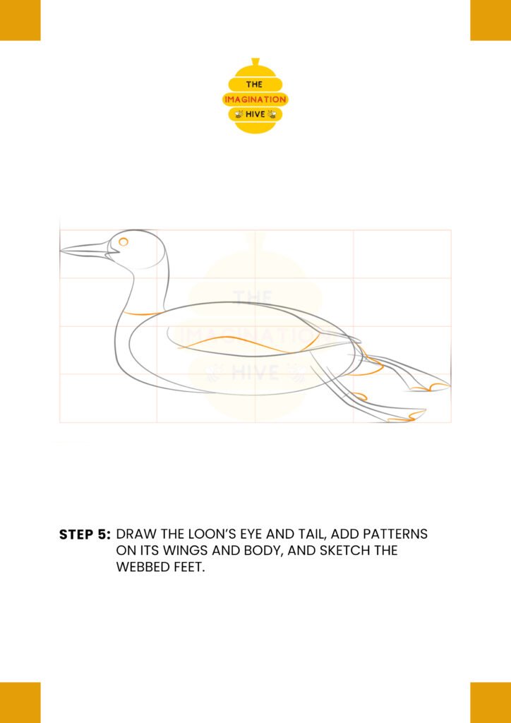 How to Draw a Loon Step 5