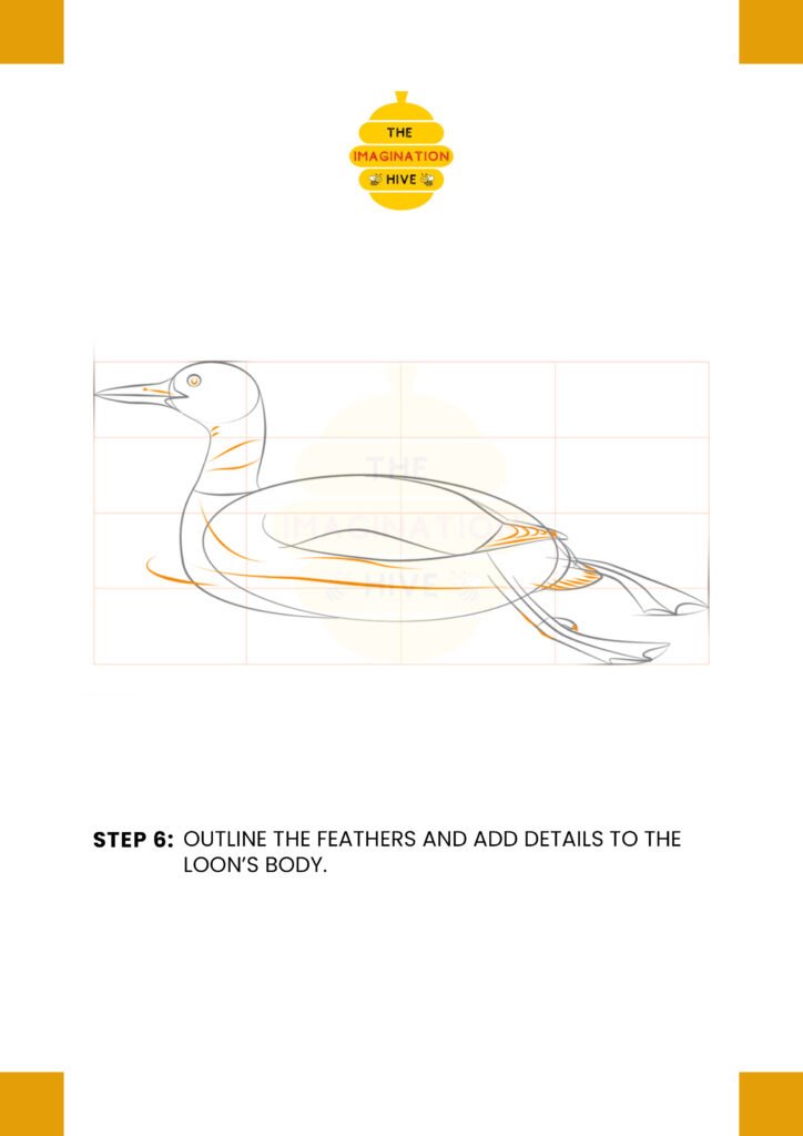 How to Draw a Loon Step 6