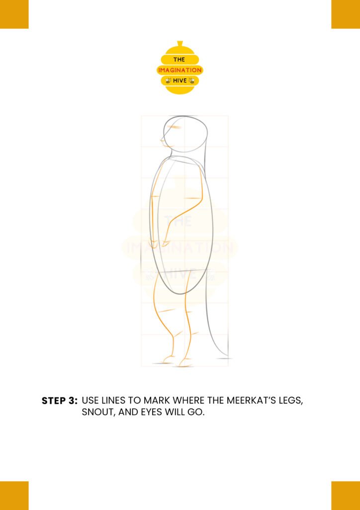How to Draw a Meerkat Step 3