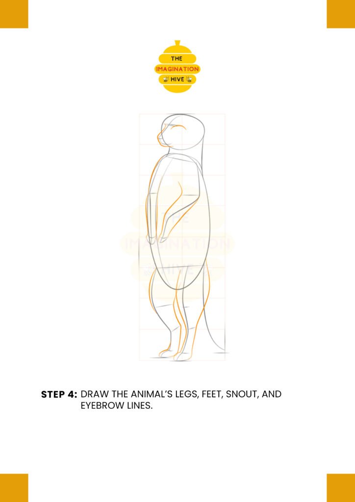 How to Draw a Meerkat Step 4