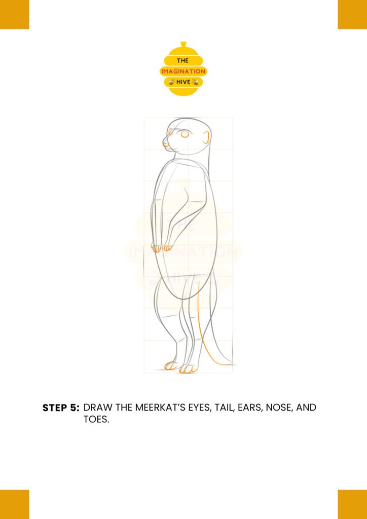 How to Draw a Meerkat Step 5