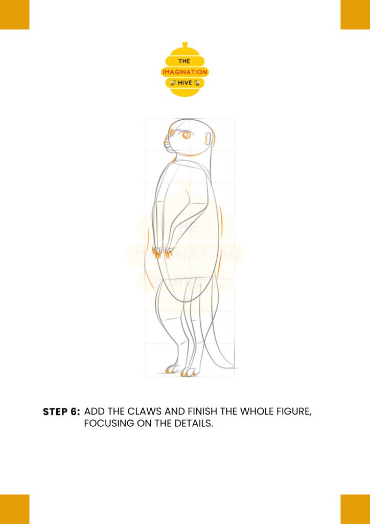 How to Draw a Meerkat Step 6