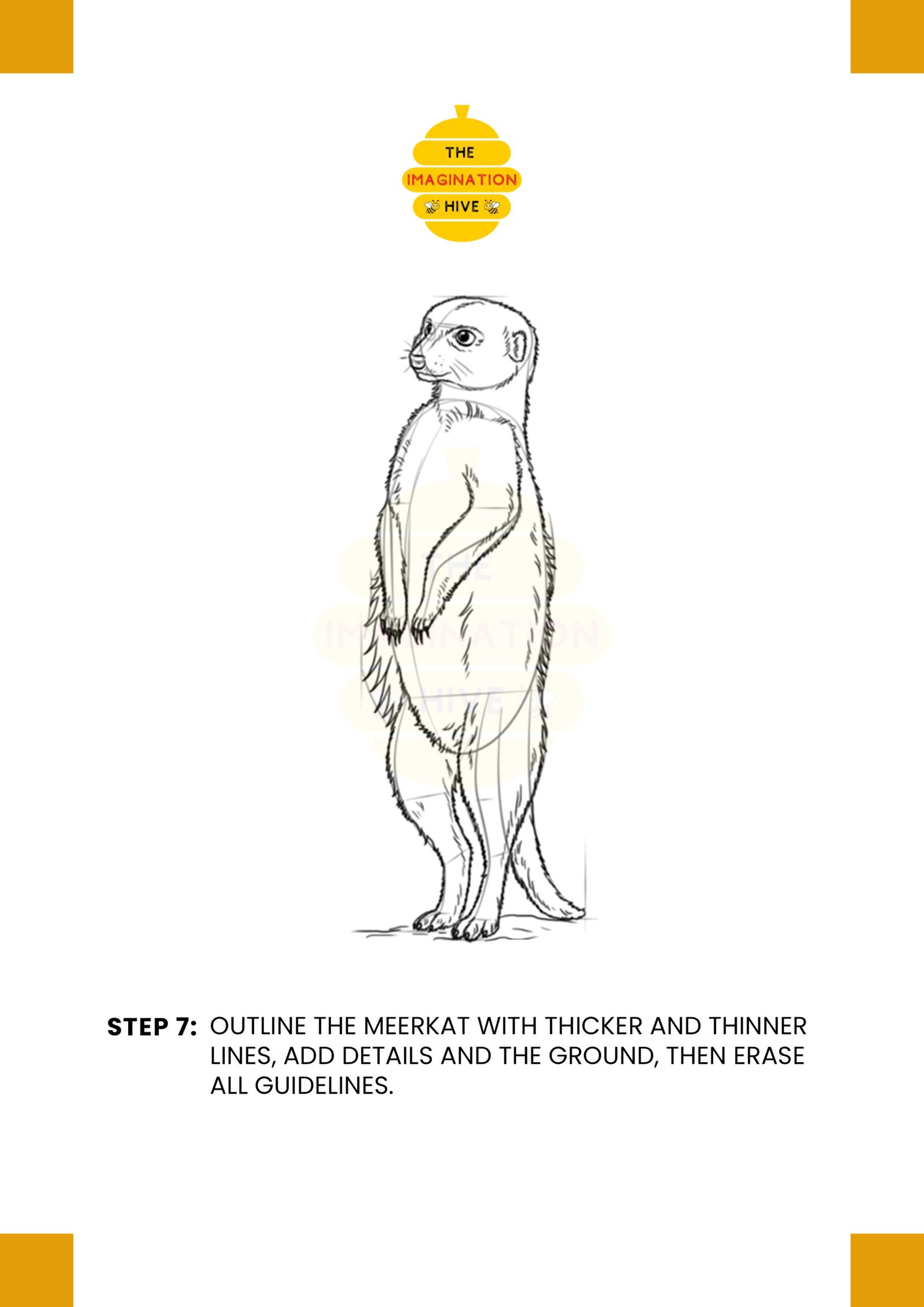 How to Draw a Meerkat Step 7