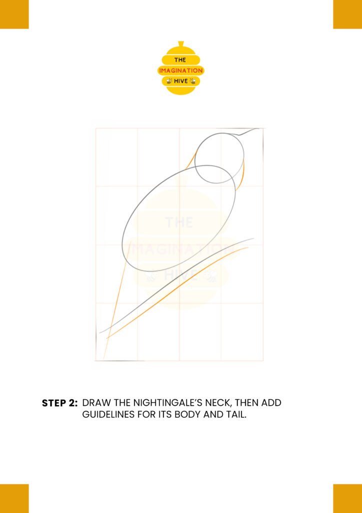 How to Draw a Nightingale Step 2