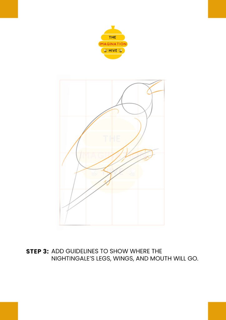 How to Draw a Nightingale Step 3