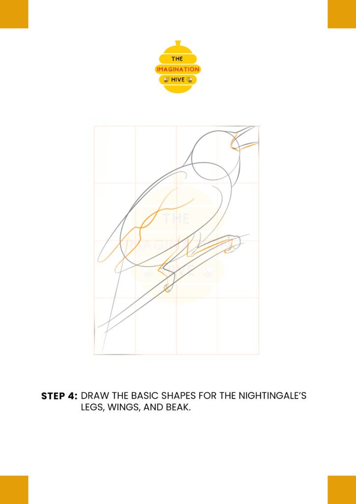 How to Draw a Nightingale Step 4