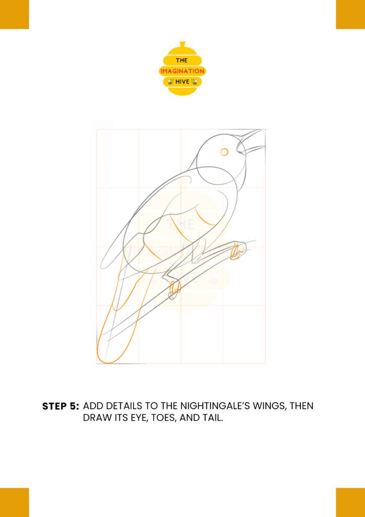 How to Draw a Nightingale Step 5