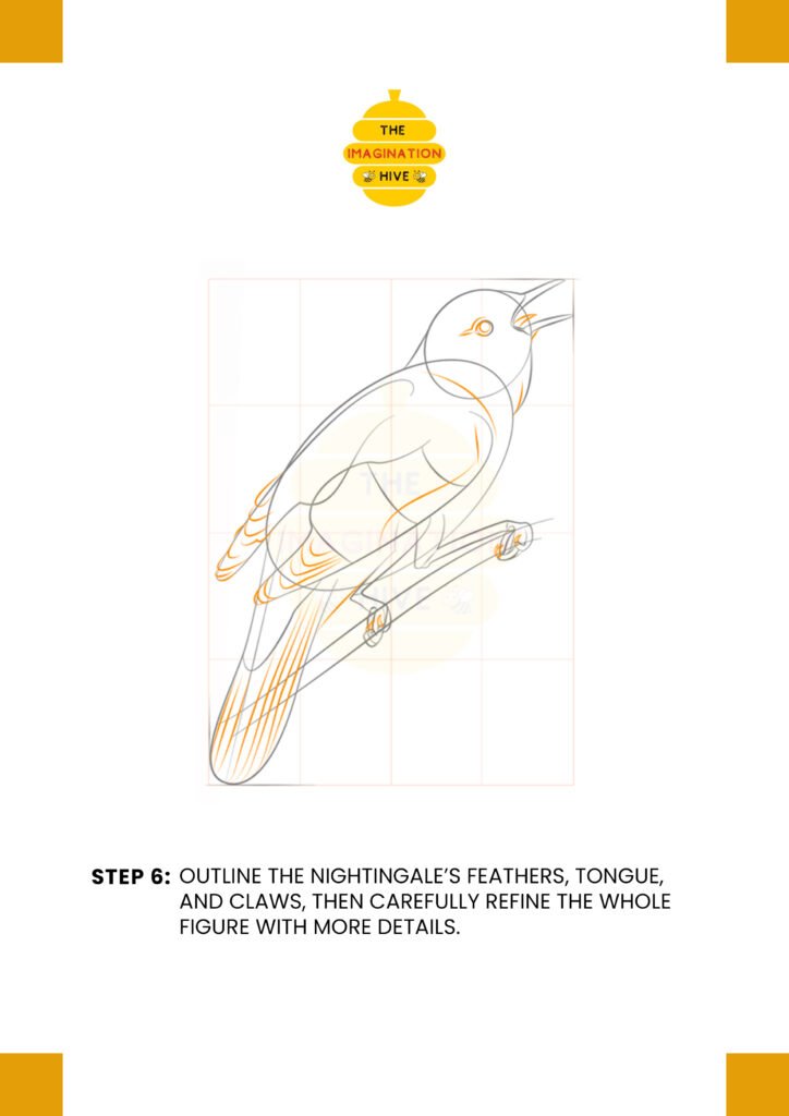 How to Draw a Nightingale Step 6