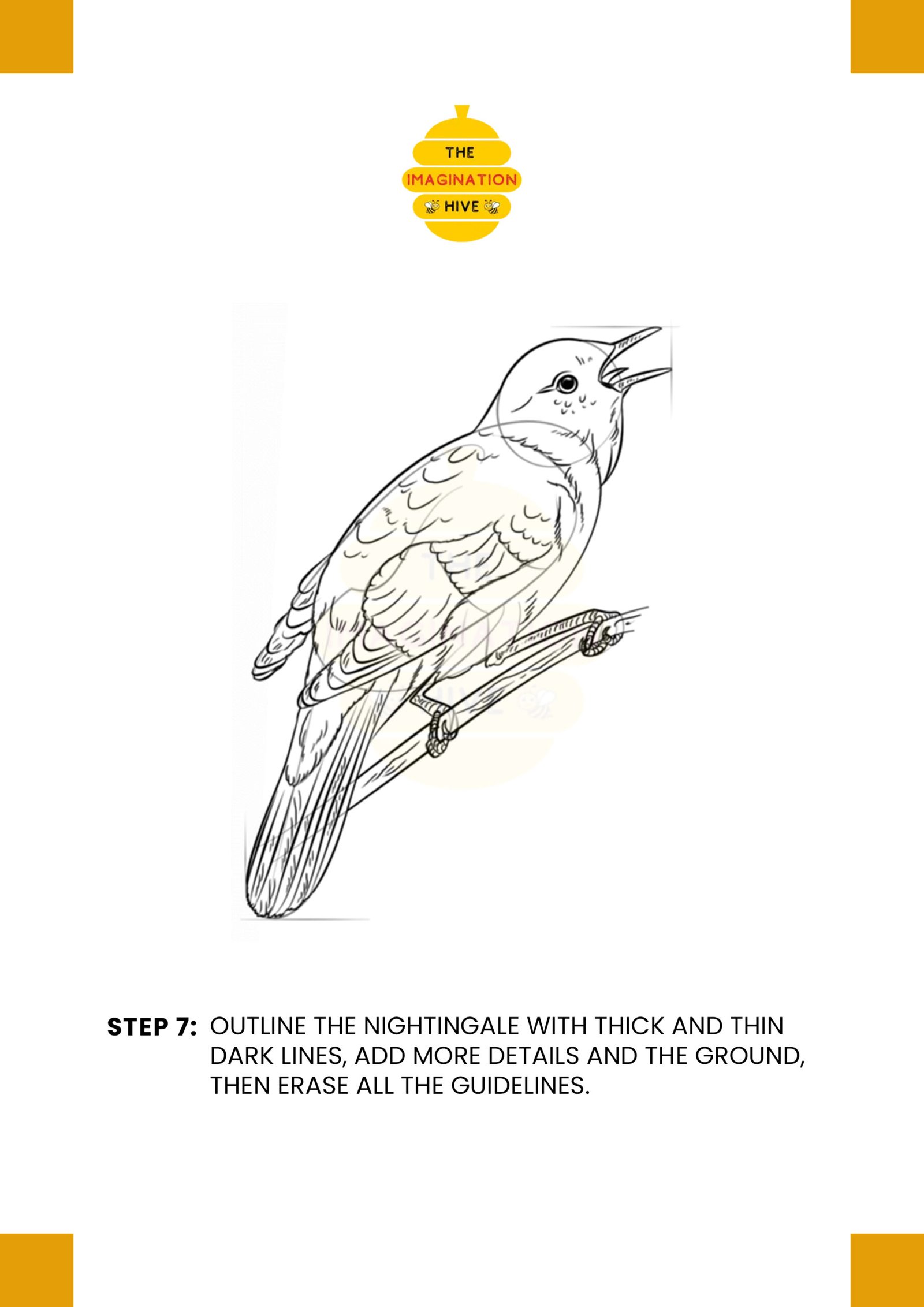 How to Draw a Nightingale Step 7 How to Draw a Nightingale Step 7