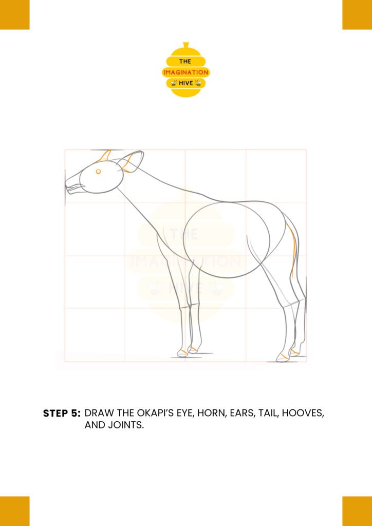 How to Draw an Okapi Step 5