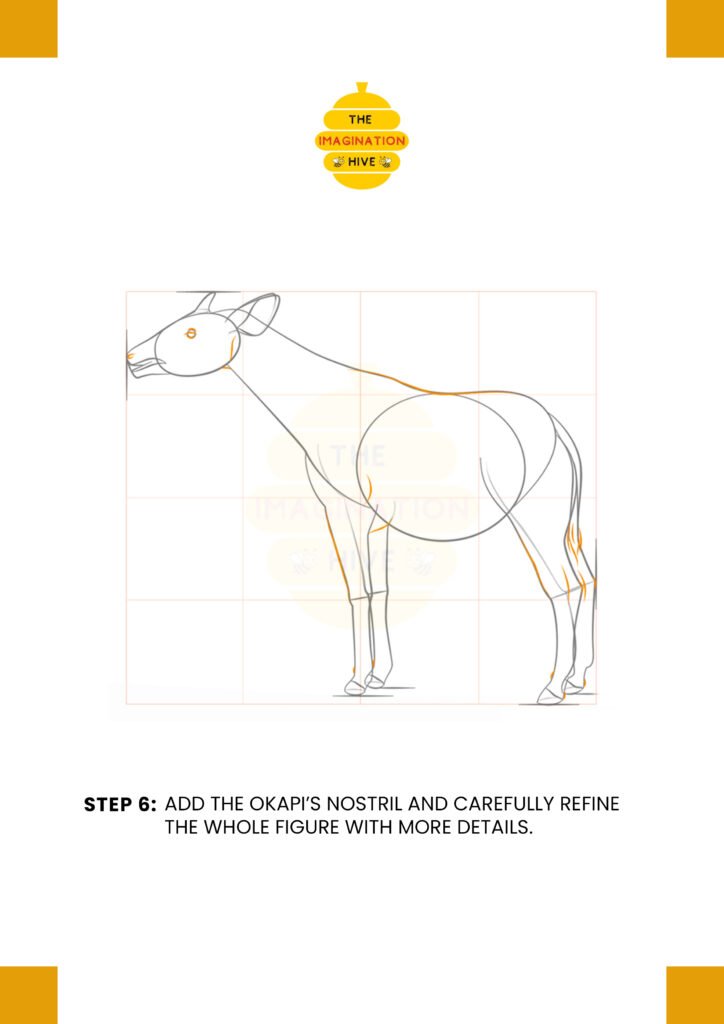 How to Draw an Okapi Step 6
