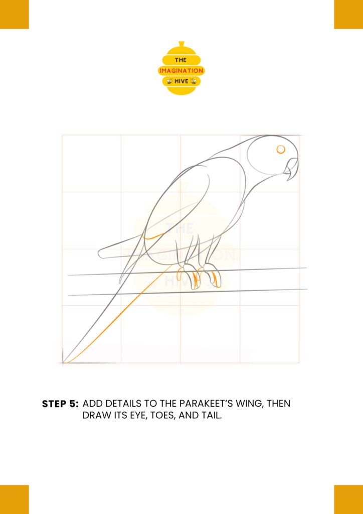 How to Draw an Osprey Step 5