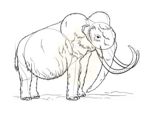 How to Draw a Mammoth – Step by Step